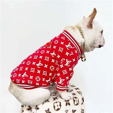 lv dog coat|Lv coats men's.